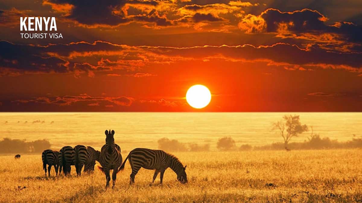 Apply Kenya Tourist Visa | Kenya Visit Visa from Pakistan